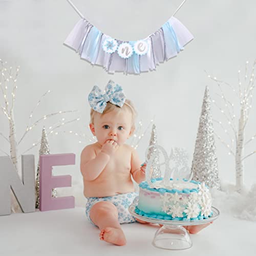 Winter Onederland High Chair Banner for 1st Birthday - Blue Frozen 1st Brithday Banner, Winter Wonederland Decorations Girl, Snow Flake High Chair Tutu, Winter First Birthday Decorations