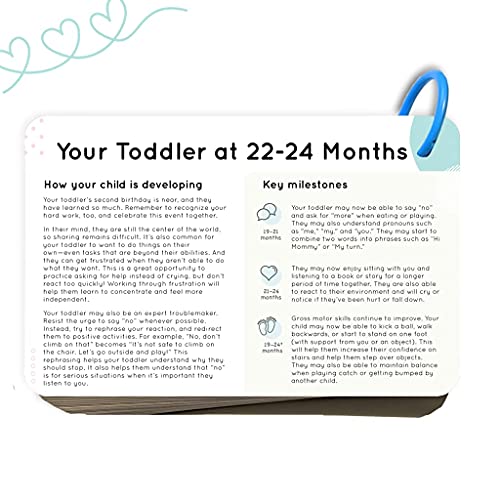 Curious Toddler™ Activity Cards | 40+ Activities for Toddler & Me (12-24 Months) | Developmentally-Focused and Stimulating Creative Playtime Ideas | Bonus: Two Recipes for Dough & Dyed Pasta