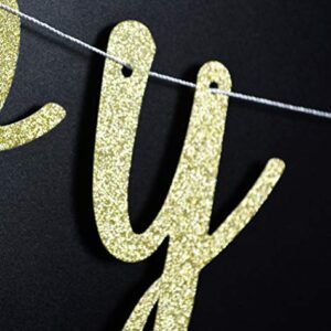 Firefairy Happy 100 Days Gold Glitter Banner Bunting-Baby Shower Party Decorations