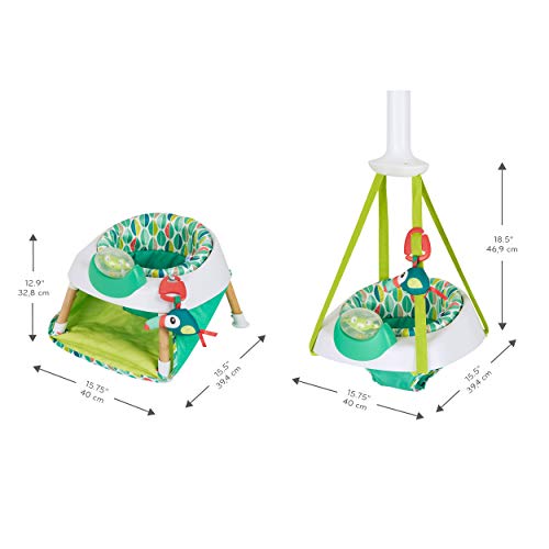 Evenflo Exersaucer Activity Seat and Doorway Jumper