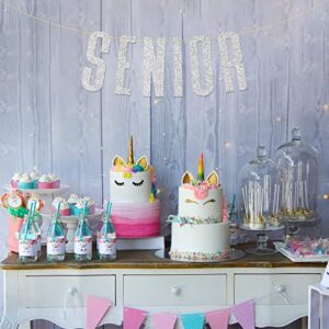 Silver Glitter Senior Banner Congrats Grad High School College Graduation Party Decorations