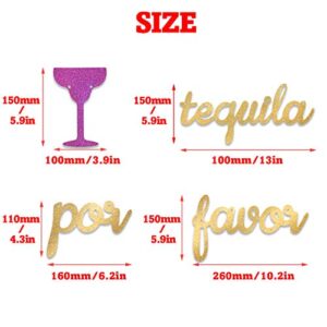 Tequila Por Favor Banner Gold Glitter Bachelorette Party Margarita Glass Engagement Wedding Theme Decorations for Signs Garland Bridal Shower Hen Night Bunting Decor Supplies