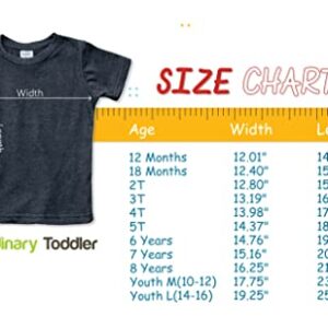 Big Brother Shirt, Big bro Shirt, Big Brother Announcement Shirt, Big Brother t Shirt Toddler (Light Gray, 18 Months)