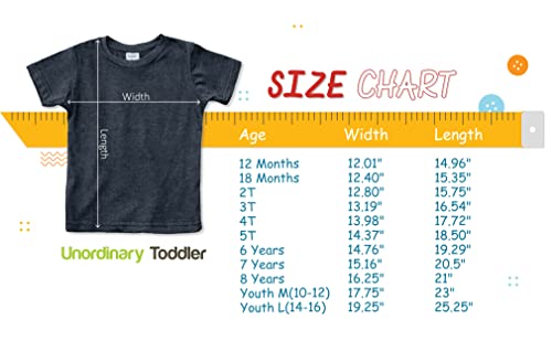 Big Brother Shirt, Big bro Shirt, Big Brother Announcement Shirt, Big Brother t Shirt Toddler (Light Gray, 18 Months)