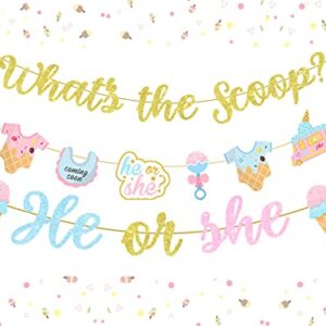 What's The Scoop Decoration Set - Gold Glitter What's The Scoop Banner, He or She Banner Garland and 8 Pieces Ice Creme Garland for Ice Cream Theme Gender Reveal Party Decorations