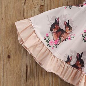 Toddler Kids Baby Girls Easter Clothes Bunny Sleeveless Romper Bodysuit Headband Rabbit Ruffle Dress Baby Sister Matching Outfits (Pink Dress, 18-24 Months)