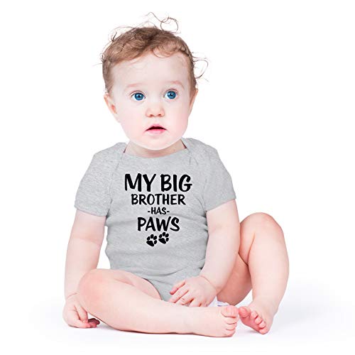 AW Fashions My Big Brother Has Paws - Animal Lover - Cute One-Piece Infant Baby Bodysuit (6 Months, Sports Grey)