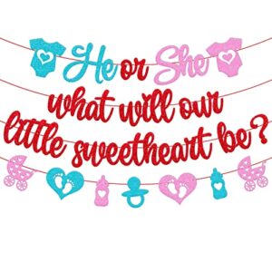 he or she what will our little sweetheart be banner happy valentine’s day gender reveal boy or girl he or she heart love romantic celebration decorations baby shower party supplies