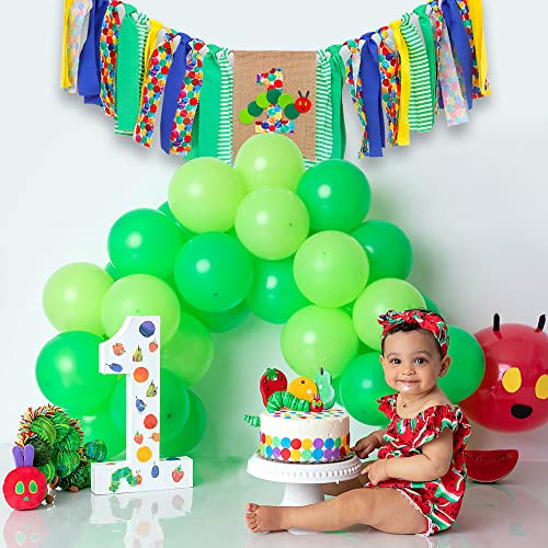 Hungry Caterpillar 1st Birthday High Chair Banner - Fruit theme decorations, fruit banners, kindergarten decorations, one year old party background, photo props