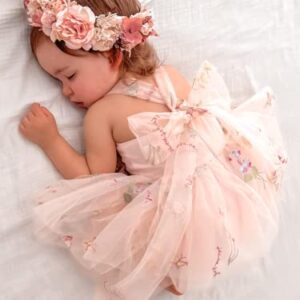 CREAIRY Baby Girl Princess Romper Dress Sleeveless Embroidered Lace Tulle Tutu Dress Bodysuit Jumpsuit Birthday Outfit (Pink, 6-12 Months)