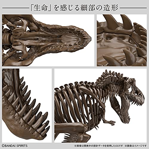 Bandai Hobby - Imaginary Skeleton - 1/32 Imaginary Skeleton Tyrannosaurus