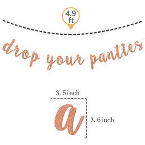 Drop Your Panties Banner - Bachelorette Banner - Lingerie Shower Banner, Wedding/Bachelorette/Birthday Party Decorations Rose Gold Glitter.