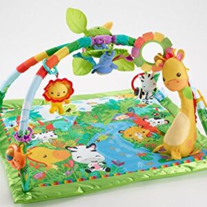 Fisher-Price Tiny Take-Alongs Gift Set, 6 Activity Toys For Baby To Rattle and Teethe