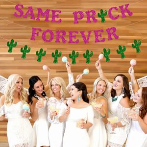 Mexican Bachelorette Party Decorations | Rose Red Glitter Same Prick Forever Banner Cactus Garland | Mexican Fiesta | Funny Bridal Shower Decorations | Hen Party Decoration