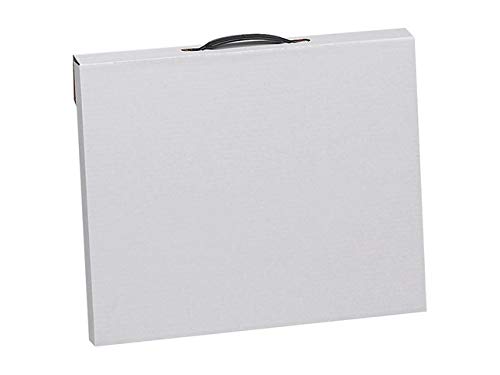 Flipside Art Portfolio Storage Case, Corrugated, 20 x 26 Inches, White