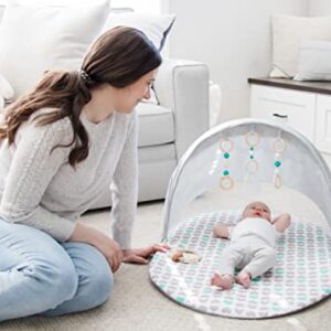 Regalo Baby Basics™ Foldable Infant Play Mat, Includes Hanging Toys, Designer Pad, Bug Net, and UPF 50 Sunshade