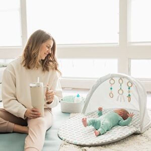 Regalo Baby Basics™ Foldable Infant Play Mat, Includes Hanging Toys, Designer Pad, Bug Net, and UPF 50 Sunshade