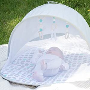 Regalo Baby Basics™ Foldable Infant Play Mat, Includes Hanging Toys, Designer Pad, Bug Net, and UPF 50 Sunshade