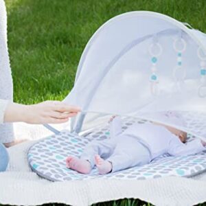 Regalo Baby Basics™ Foldable Infant Play Mat, Includes Hanging Toys, Designer Pad, Bug Net, and UPF 50 Sunshade