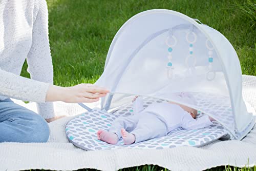 Regalo Baby Basics™ Foldable Infant Play Mat, Includes Hanging Toys, Designer Pad, Bug Net, and UPF 50 Sunshade