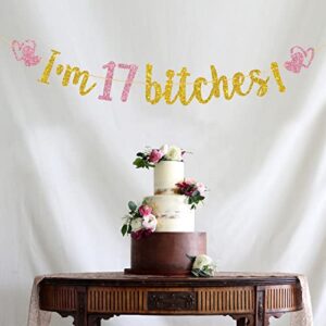 T-minimalist I'm 17 Bitches Banner, Gold & Pink Glitter Funy Happy 17th Birthday Banner, 17 Years Old Birthday Sign, Cheers to 17 Years Party Decorations Supplies, 7.5 Feet