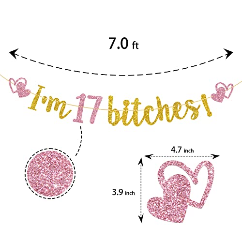 T-minimalist I'm 17 Bitches Banner, Gold & Pink Glitter Funy Happy 17th Birthday Banner, 17 Years Old Birthday Sign, Cheers to 17 Years Party Decorations Supplies, 7.5 Feet