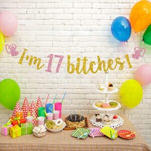 T-minimalist I'm 17 Bitches Banner, Gold & Pink Glitter Funy Happy 17th Birthday Banner, 17 Years Old Birthday Sign, Cheers to 17 Years Party Decorations Supplies, 7.5 Feet