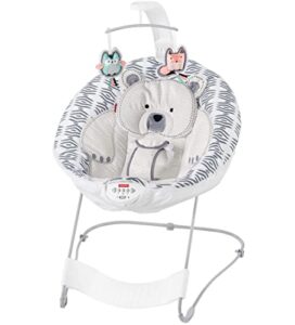 fisher-price see & soothe deluxe bouncer