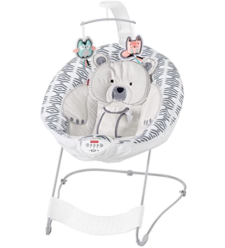 Fisher-Price See & Soothe Deluxe Bouncer