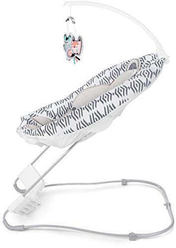 Fisher-Price See & Soothe Deluxe Bouncer