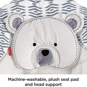 Fisher-Price See & Soothe Deluxe Bouncer