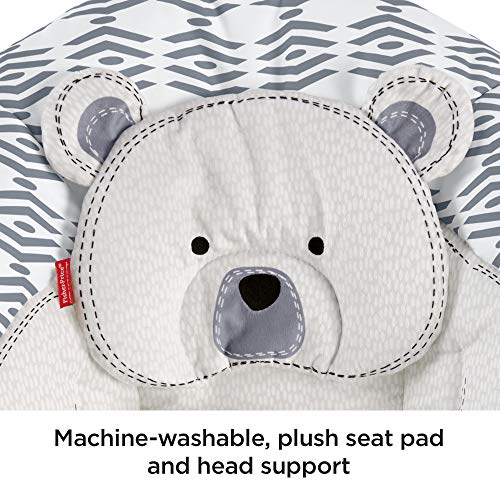 Fisher-Price See & Soothe Deluxe Bouncer