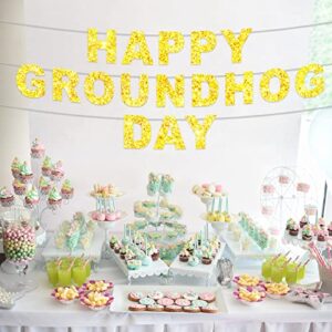 Happy Groundhog Day Banner Cute Animals Glitter Golden Theme Decor Decorations for Season Forecast 1st Birthday Party Spring February 2nd Holidays Festival Groundhog Day Supplies Favors Background