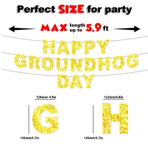 Happy Groundhog Day Banner Cute Animals Glitter Golden Theme Decor Decorations for Season Forecast 1st Birthday Party Spring February 2nd Holidays Festival Groundhog Day Supplies Favors Background