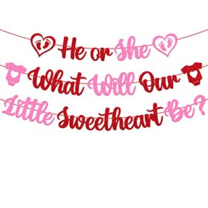 he or she what will our little sweetheart be banner happy valentine’s day theme pink red glitter gender reveal baby shower party decorations supplies