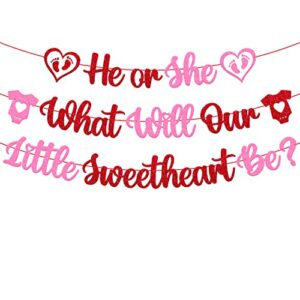 He or She What Will Our Little Sweetheart Be Banner Happy Valentine’s Day Theme Pink Red Glitter Gender Reveal Baby Shower Party Decorations Supplies