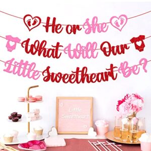 He or She What Will Our Little Sweetheart Be Banner Happy Valentine’s Day Theme Pink Red Glitter Gender Reveal Baby Shower Party Decorations Supplies