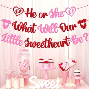 He or She What Will Our Little Sweetheart Be Banner Happy Valentine’s Day Theme Pink Red Glitter Gender Reveal Baby Shower Party Decorations Supplies