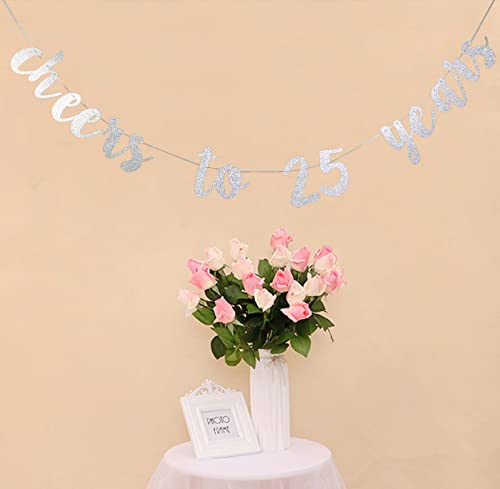 StarsGarden Cheers to 25 Years Banner – It's My Funny Fabulous 25 Banner -25th Birthday Banner Decorations - Finally 25 Milestone Happy Birthday Decorations(Silver 25) (SG-22NP458)