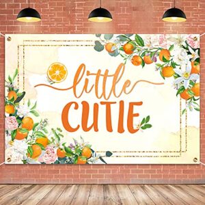 hamigar 6x4ft little cutie banner backdrop – fall baby shower decorations party supplies for boys girls – orange
