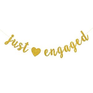 RoadSea Just Engaged Banner - Bachelorette Party Garland Supplies - Engagement - Hen Night Party Decorations - Gold Glitter