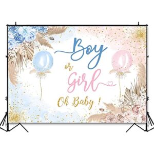 Avezano Boy or Girl Gender Reveal Backdrop Pink or Blue Balloons Gender Reveal Party Decorations Boho Pampas Grass Oh Baby Sign Photoshoot Background Banner (7x5ft)