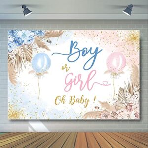 Avezano Boy or Girl Gender Reveal Backdrop Pink or Blue Balloons Gender Reveal Party Decorations Boho Pampas Grass Oh Baby Sign Photoshoot Background Banner (7x5ft)