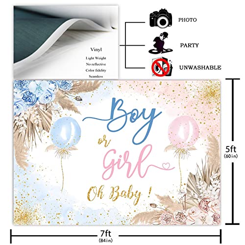 Avezano Boy or Girl Gender Reveal Backdrop Pink or Blue Balloons Gender Reveal Party Decorations Boho Pampas Grass Oh Baby Sign Photoshoot Background Banner (7x5ft)