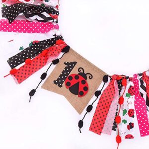 Ladybug Birthday Party Decorations Supplies Ladybug First Birthday High Chair Banner Garland Decoration First Birthday for Boy Girl 1st Birthday Decoration Cake Smash Photo Booth Backdrop Ladybug Party Supplies