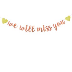 rose gold glitter we will miss you banner–retirement party decorations sign-going away party decor-farewell party decorations-office work party decorations