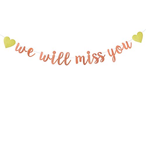Rose Gold Glitter We Will Miss You Banner--Retirement Party Decorations Sign-Going Away Party Decor-Farewell Party Decorations-Office Work Party Decorations