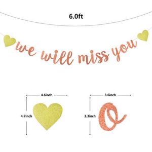 Rose Gold Glitter We Will Miss You Banner--Retirement Party Decorations Sign-Going Away Party Decor-Farewell Party Decorations-Office Work Party Decorations