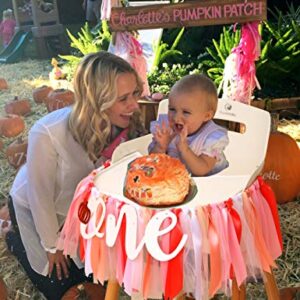 Little Pumpkin 1st Birthday Banner - Ribbon Tulle High Chair Banner.Halloween Birthday Party Decorations.Fall Photography Backdrops. (Pumpkin Banner)