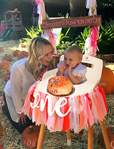 Little Pumpkin 1st Birthday Banner - Ribbon Tulle High Chair Banner.Halloween Birthday Party Decorations.Fall Photography Backdrops. (Pumpkin Banner)